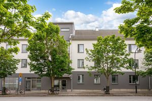 Flerbostadshus i ljus och mörk puts med grönskande träd längs lokalgata