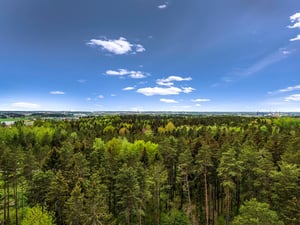 Utsikt över en skog med gröna trädtoppar under en klar blå himmel med några moln
