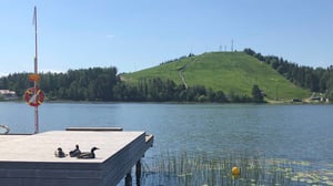 Trädäck vid sjö med tre ankor, grön slänt i bakgrunden och klar sommardag
