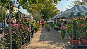Torghandel i Vellinge