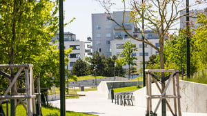 Grönskande bostadsgård med gångväg, bänkar och flerfamiljshus i bakgrunden