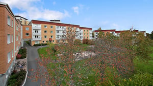 Bostadsgård med flerbostadshus, gångväg, träd och cyklar