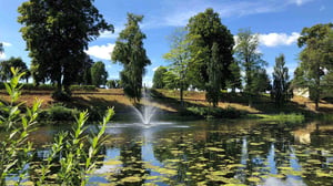 Jönköping damm