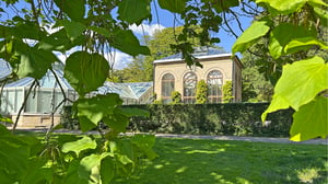 Utsikt mot växthus och tegelbyggnad genom gröna blad i en park