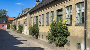 Äldre tegelhus, i Lund, med fönster och blommande buskar