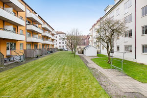 Flerfamiljshus med gräsmatta, gångväg och träd i en innergård under klar himmel