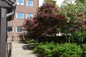 Bostadshus med brun fasad och vita fönster, omringat av grönskande träd och buskar i förgrunden