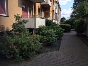 Flerfamiljshus med balkonger, omgivna av grönska och buskar, bredvid en gångväg