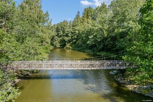Hängbro över lugn flod omgiven av grönskande skog