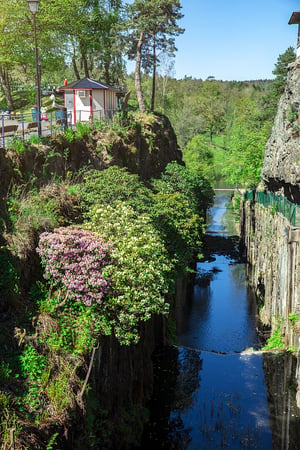 Sluss mellan branta klippor med lummig grönska och blommande buskar