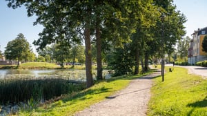Promenadstig längs en damm med träd, gräs och bostadshus i bakgrunden