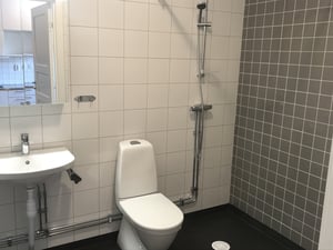 Badrum med vitt och grått kakel, med toalett och dusch