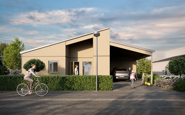 Enplanshus med braskamin