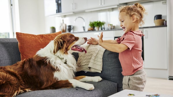 Ida Ekenstiernas väg, Tuve Perssons väg 