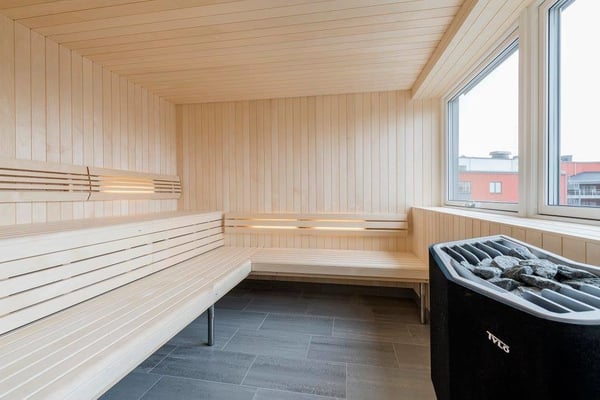 Stor bastu med fönster