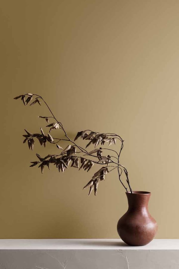 Jotun Färg 1909 Kalkockra