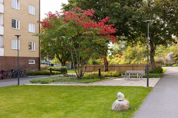 Grönskande bostadsområde med gräsmatta, träd och en sten med dekoration. Cyklar är parkerade nära en byggnad, och en gångstig leder till en sittplats med bord och bänkar