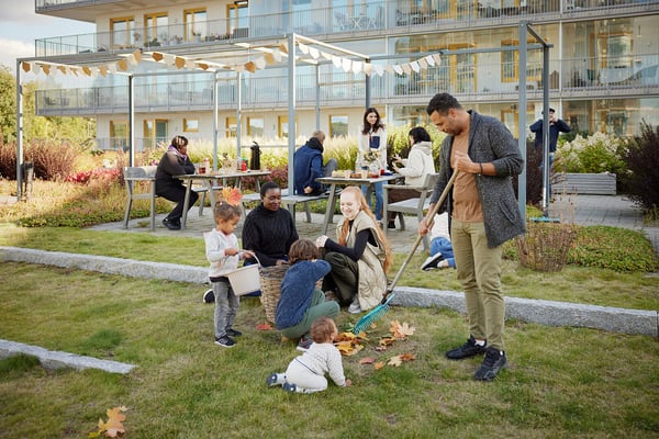 Flera vuxna och barn som krattar löv på en gård