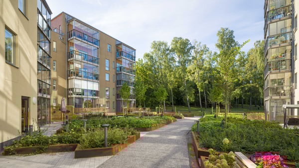 Innergård med flerbostadshus, gångväg och grönska