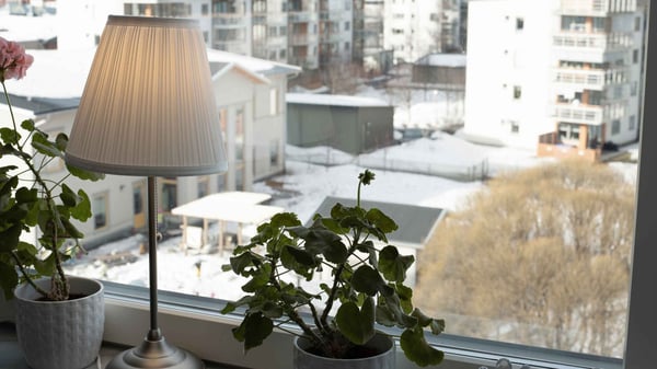 Ljus inomhusmiljö med fönster, krukväxter och golvlampa med utsikt över snötäckt bostadsområde