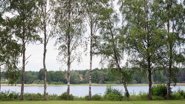 Korseberg Park