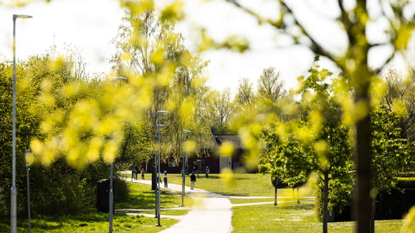 Parkväg
