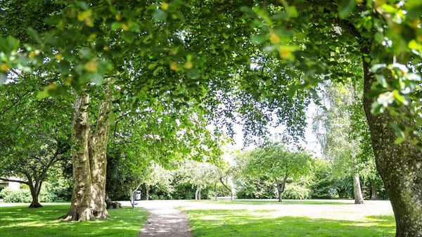 Parkväg