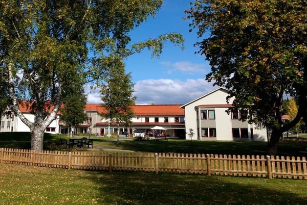 Bostadsområde med tvåvåningshus, grönskande träd och trästaket