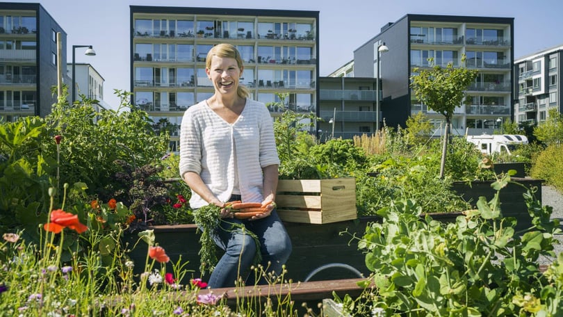 Tjej med knippe morötter mitt i grönsaksodling i brf