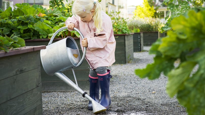 Flicka med vattenkanna