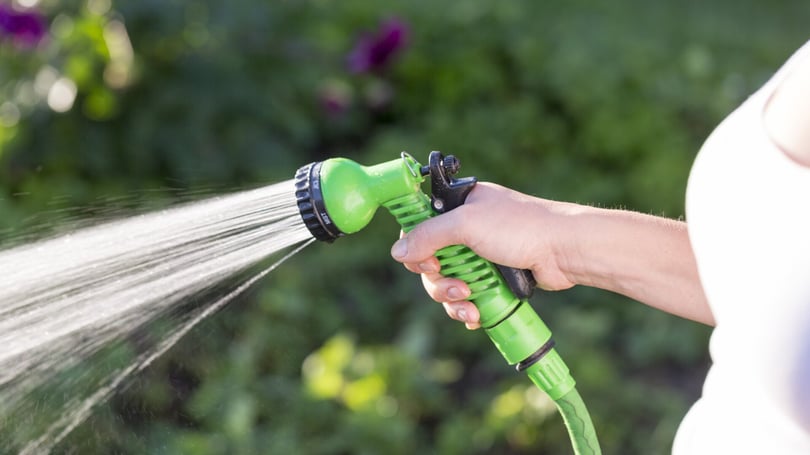 Hand som håller i en grön vattenstrålemunstycke och vattnar växter i en trädgård. Bakgrunden är suddig med grönska och blommor