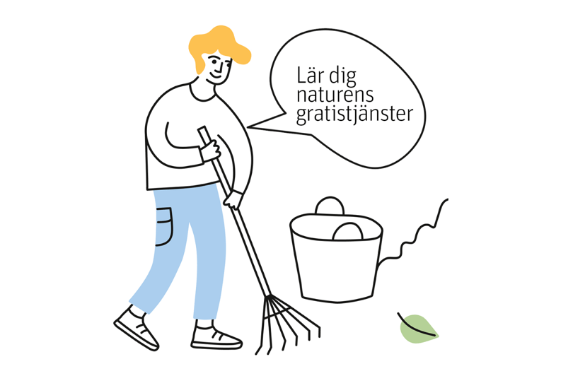 Lär dig naturens gratistjänster