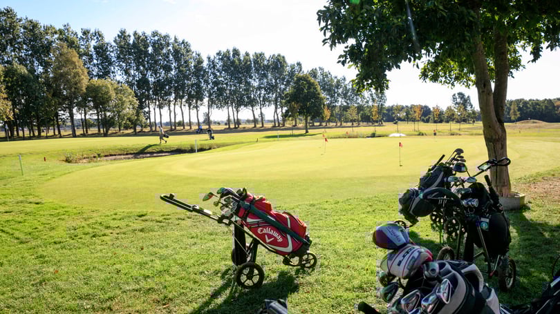 Golfbana med flera golfbagar och träd i förgrunden