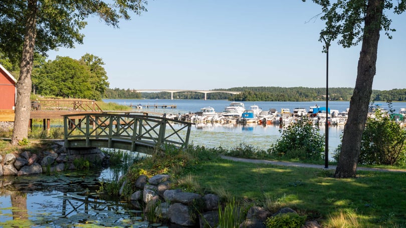 Vacker småbåtshamn vid vatten med brygga, grönska och en bro i bakgrunden