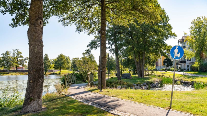 Grönskande parkmiljö i Strängnäs med gångväg, träd, sjö och bostadshus i bakgrunden