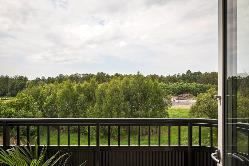 Utsikt från balkong mot grönskande träd och himmel