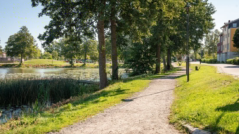 Promenadstig i Strängnäs  längs en park med träd, gräs och vatten. Bostadshus syns i bakgrunden