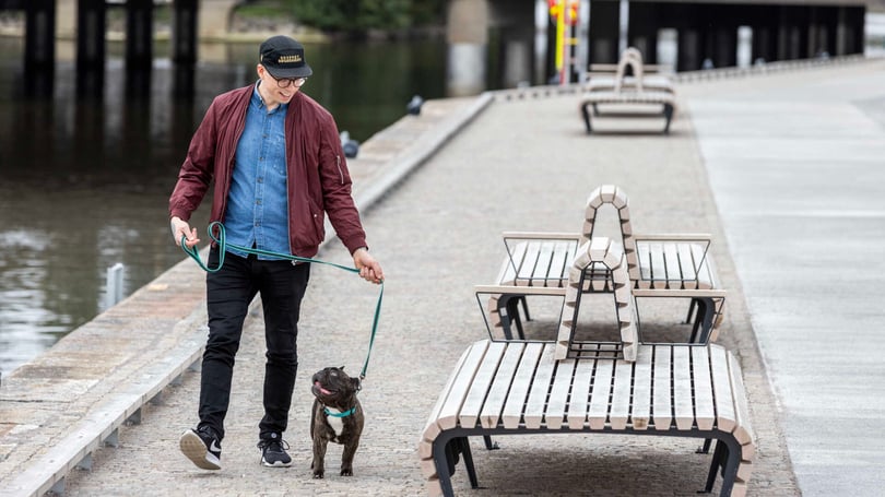 Man promenerar med hund längs en kaj med tomma bänkar i förgrunden
