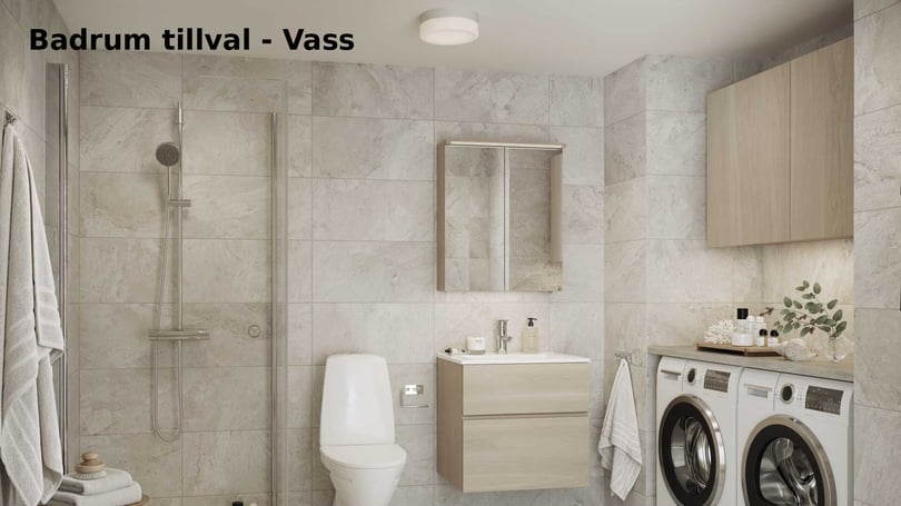 Badrum tillval Vass