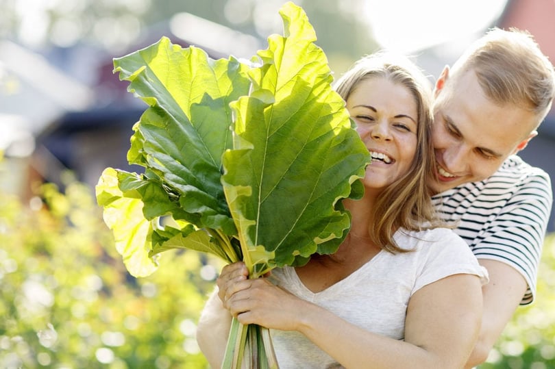 Två personer utomhus med stora gröna blad, där den främre personen håller i en bukett blad