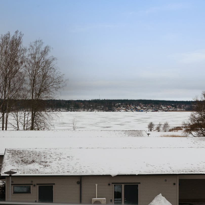 Snötäckt tak på hus vid en frusen sjö med träd i förgrunden och en by på andra sidan