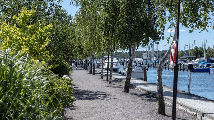 Promenadstråk längs en hamn med båtar, träd och brygga vid vattnet