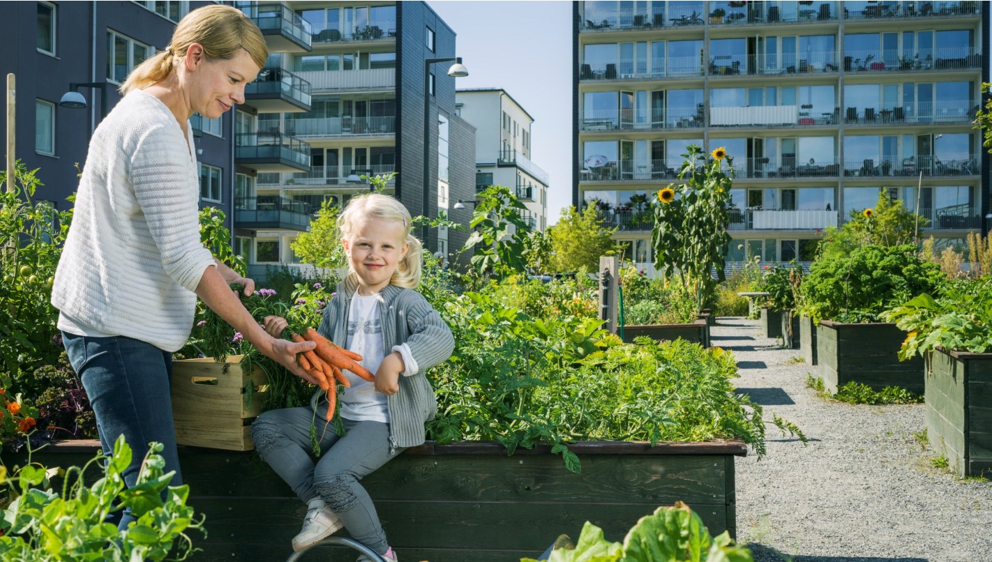 Blomstrande BRF-gårdar bidrar till ökad biologisk mångfald