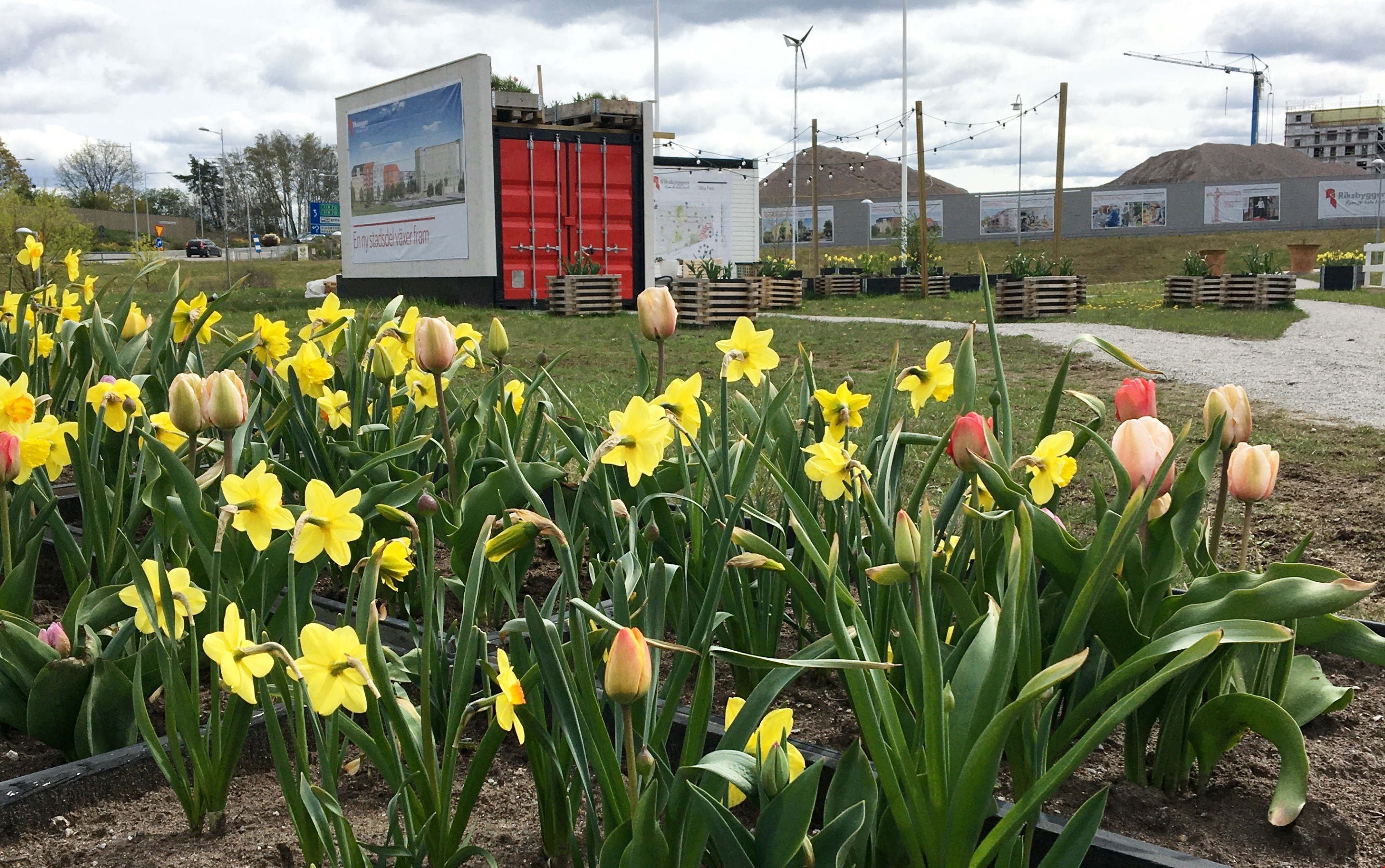 Riksbyggens pop-up trädgård får Täby Park att blomma