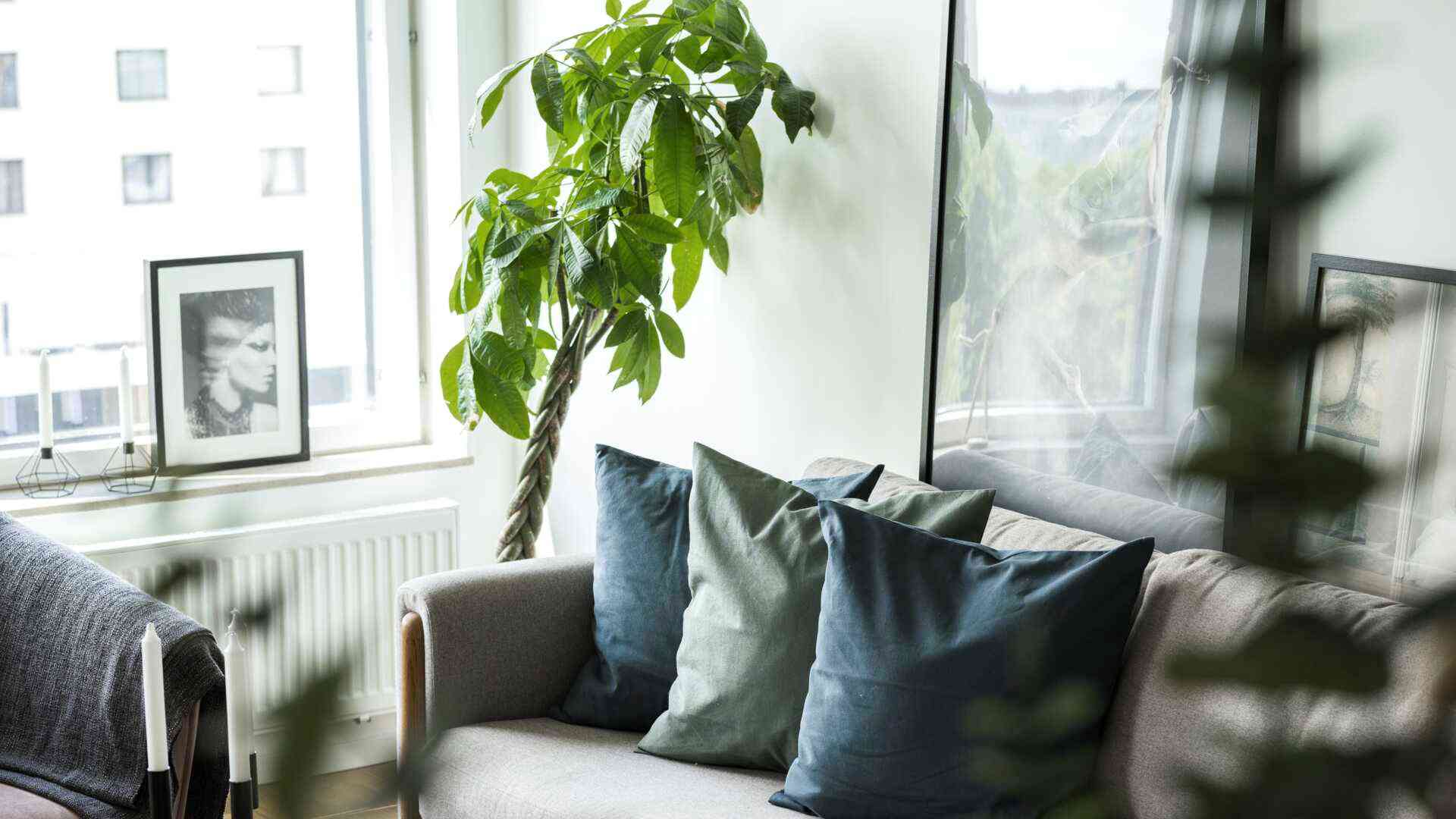 Soffa