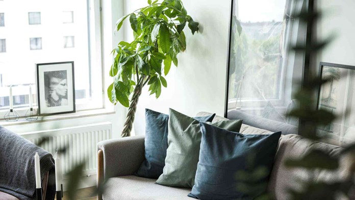 Soffa
