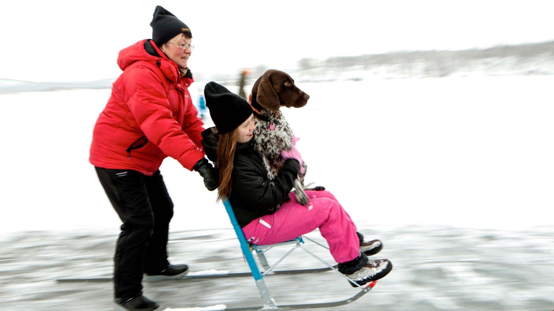 Vuxen och barn på en spark på isen