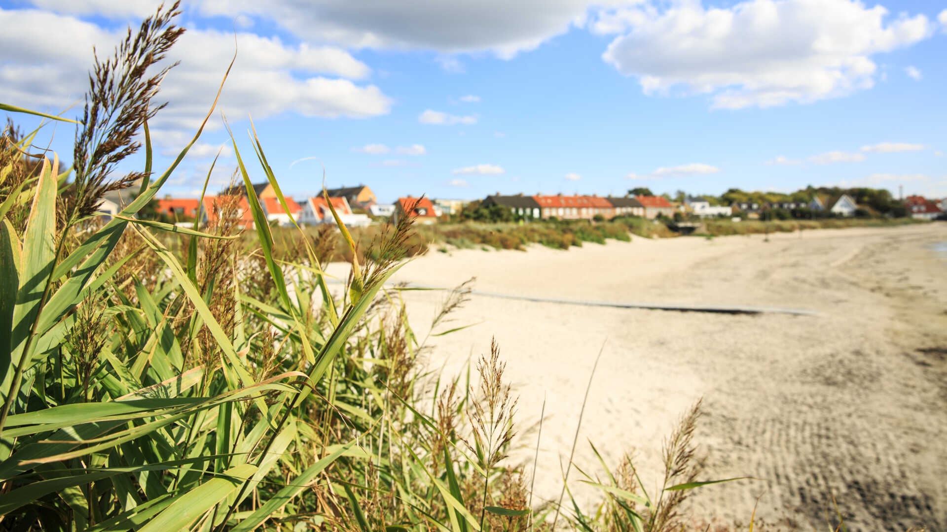 Strand Höganäs