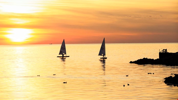 Segelbåtar i solnedgång
