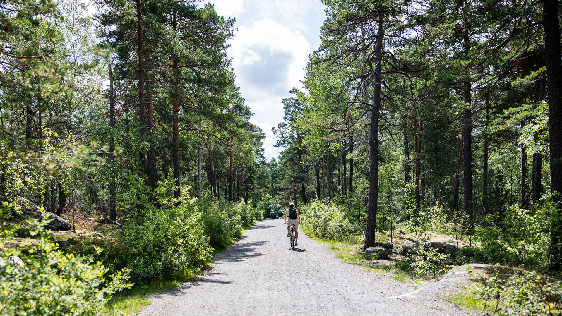 Björkhagen  skogsväg